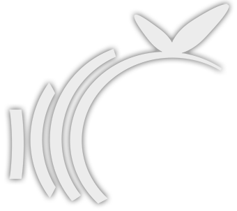 logo mille fruits
