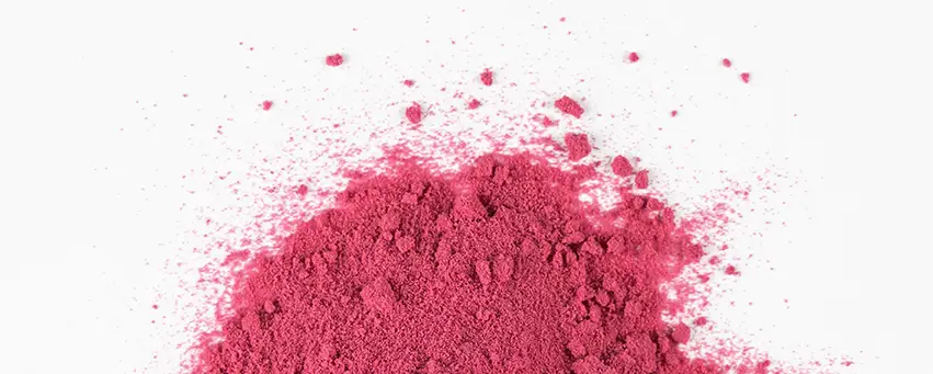 camerise en poudre - haskap powder
