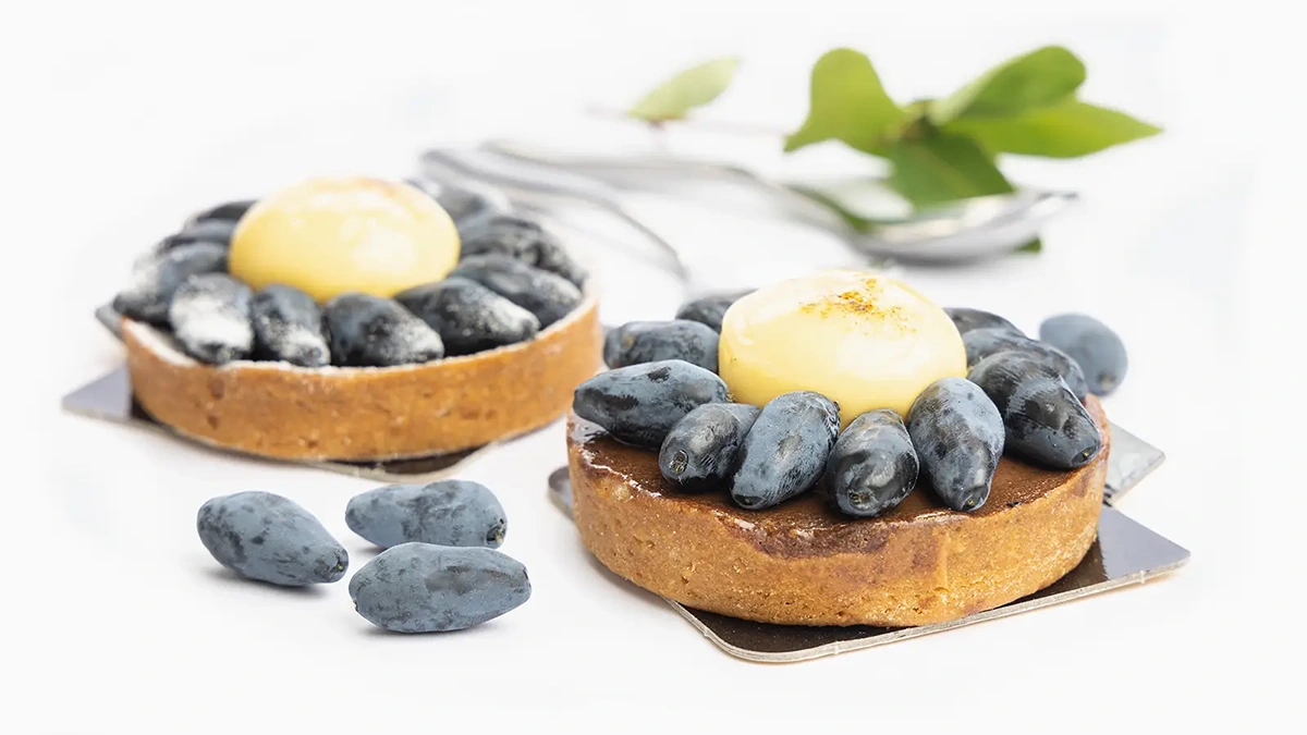 tartelette camerise - haskap cake